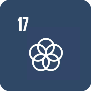 Obiettivo di Sviluppo Sostenibile 17 – Partnership per gli obiettivi