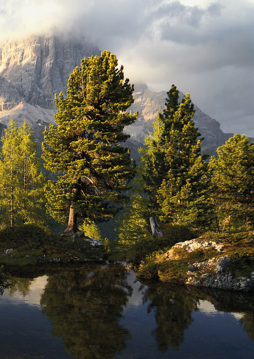 Lago alpino con riflesso di pini e vetta rocciosa tra le nuvole
