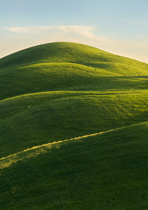 Colline verdi ondulate illuminate dalla luce radente del tramonto